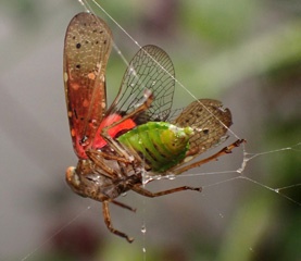PC313376a.jpg